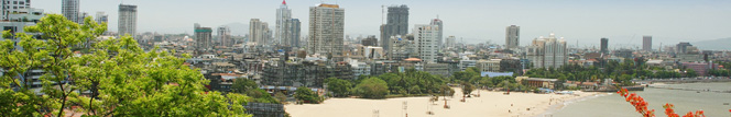 BCG in India