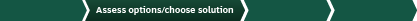 Assess options Assess options
